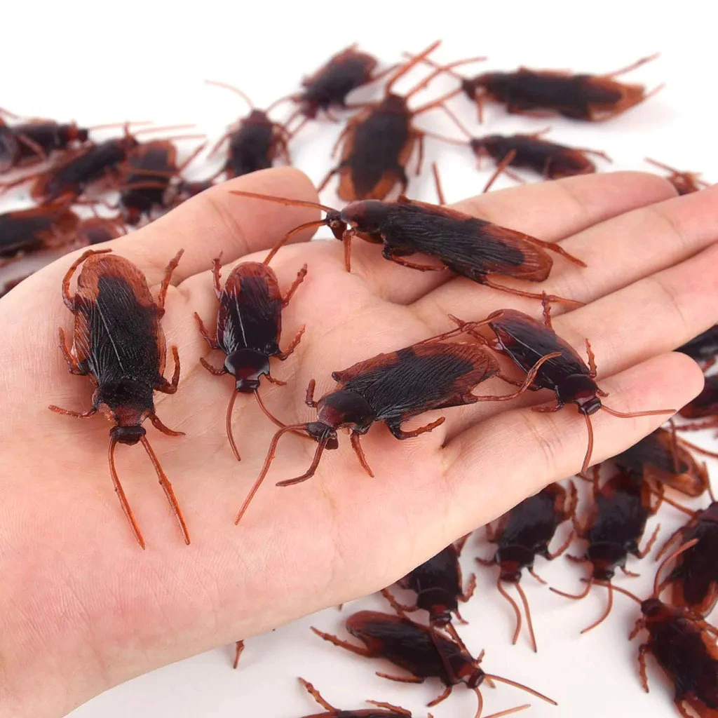 Cucaracha De Goma 7 Cm(De 10U C/U)
